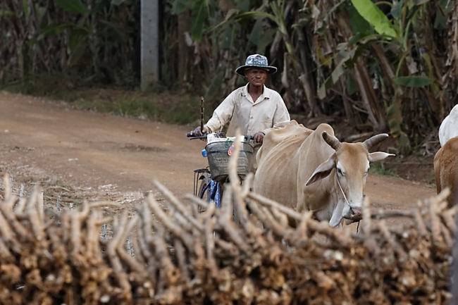 Famille et amis-FEV16-016